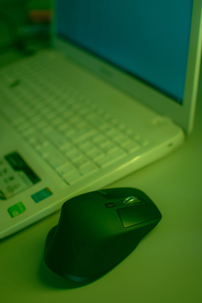 Black Computer Mouse Beside the White Laptop
